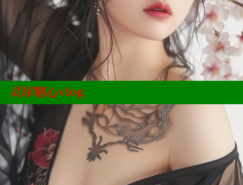 灵犀糖心vlog